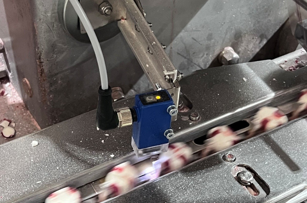 A blue optical sensor clamped to the frame of a stainless conveyor, its cable running off to one side, reading product as it blurs past on the line below.